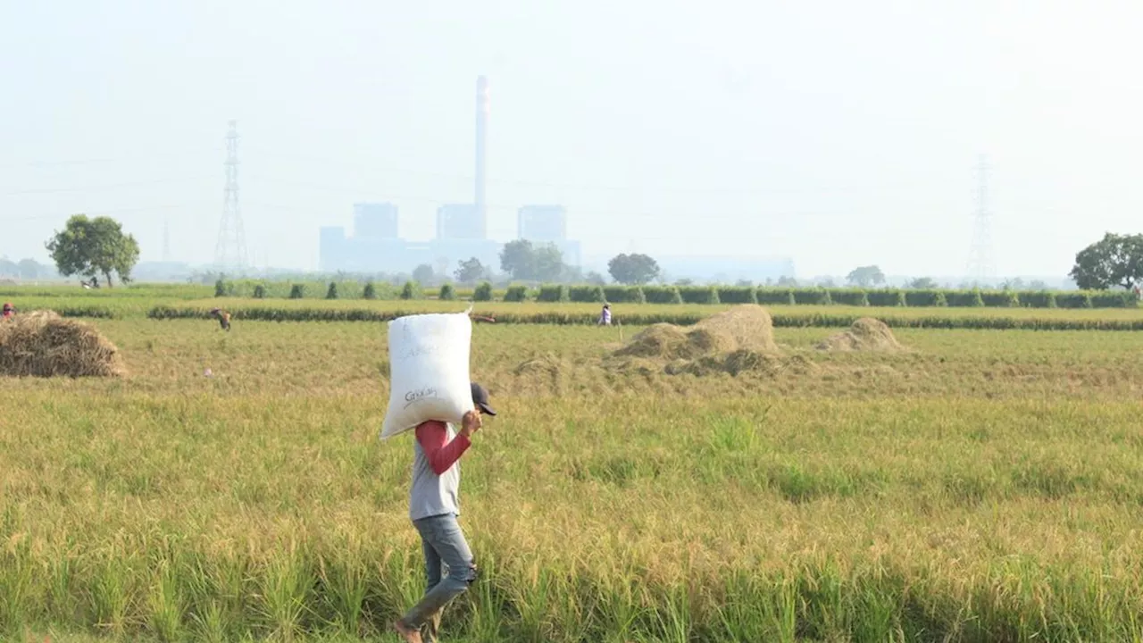 President Jokowi: Shift to Green Energy