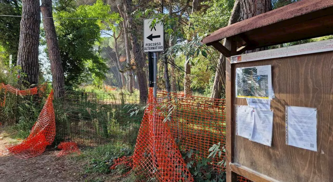 Perugia, sulla pineta di Ponte Felicino ancora proteste ma arriva un super studio