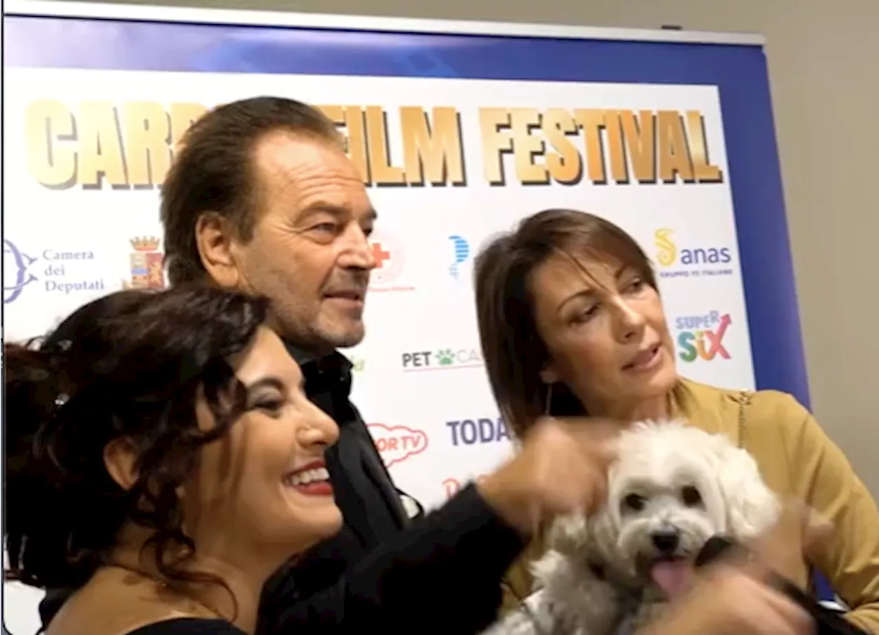 Pet Carpet Film Festival, tra cinema, amore per gli animali e solidarietà