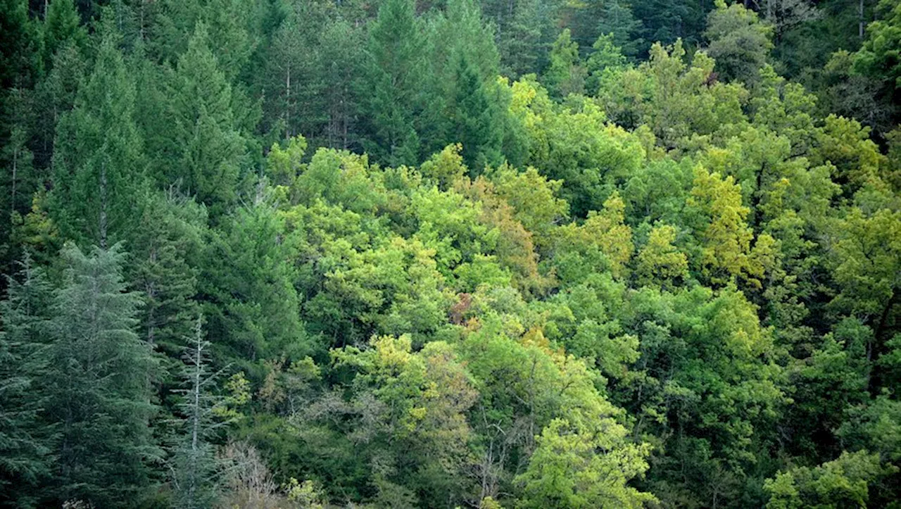 Cahors. Conférence sur les forêts et le climat