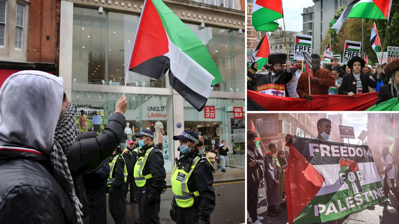 'Deviants will be arrested': Met issues warning ahead of pro-Palestine protests in London over weekend