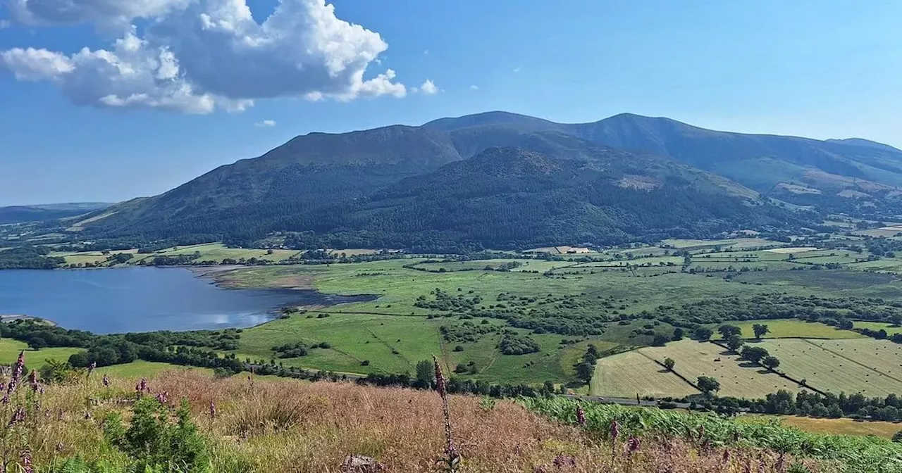 Lake District forest that's one of the best in UK to hear beautiful birdsong