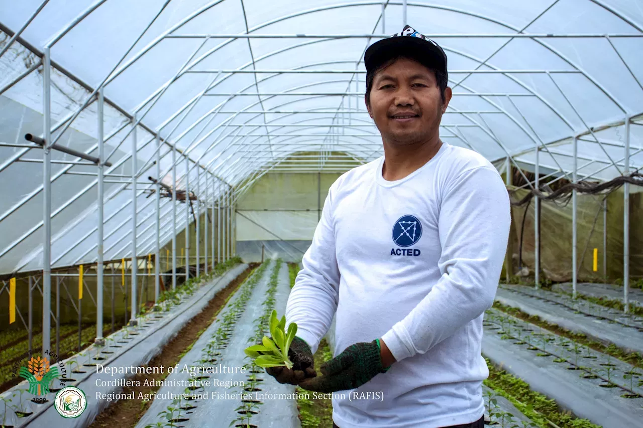 Benguet’s son returns to farming roots