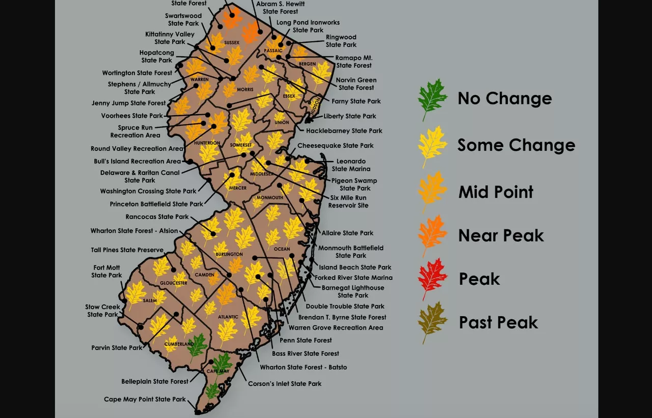 New fall foliage map shows colorful leaves spreading across more areas of N.J.