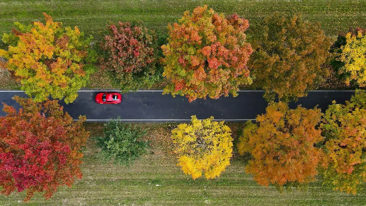 Nordrhein-Westfalen: Am Freitag ungewöhnlich mild, deutlich kühler am Wochenende