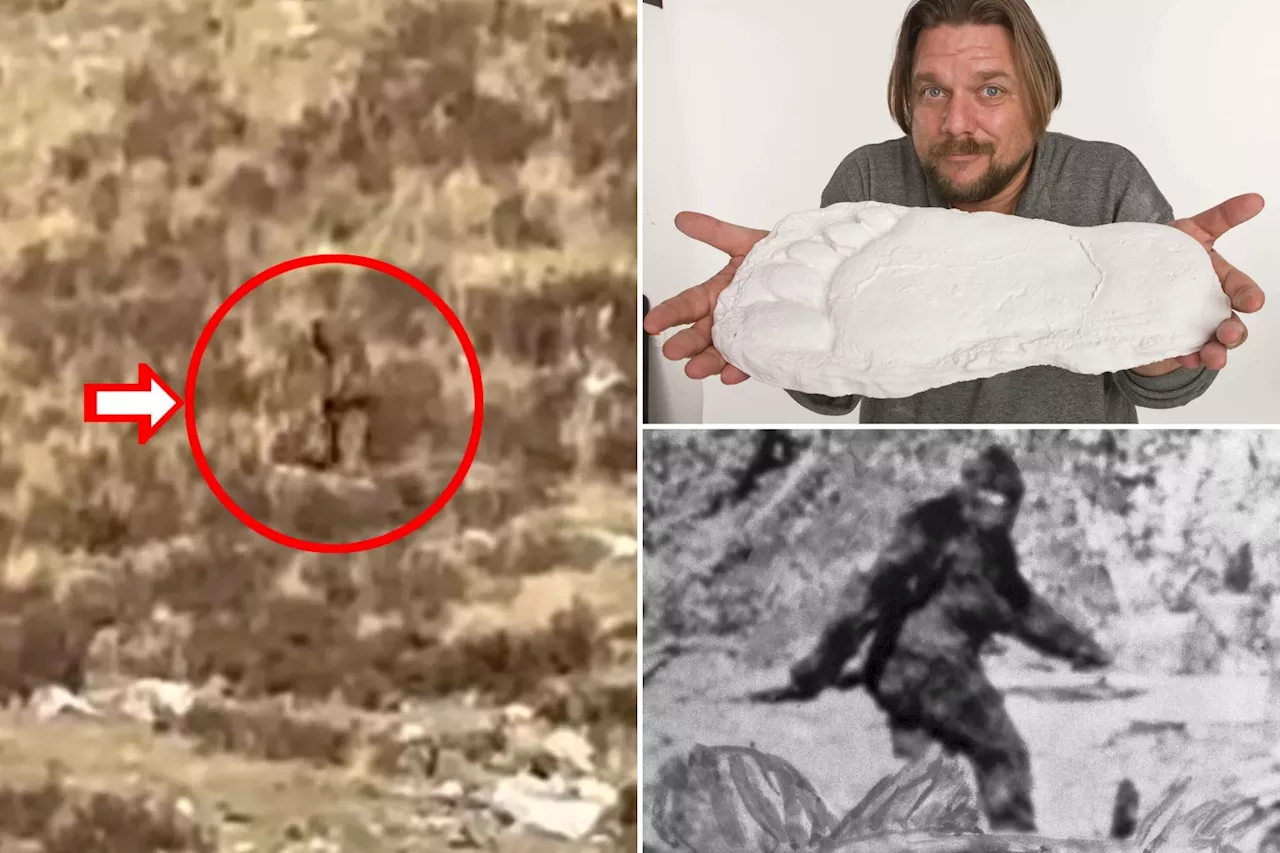 Inside the myth of Bigfoot: Fire-red eyes, 'putrid' stench and bizarre 'taser' powers