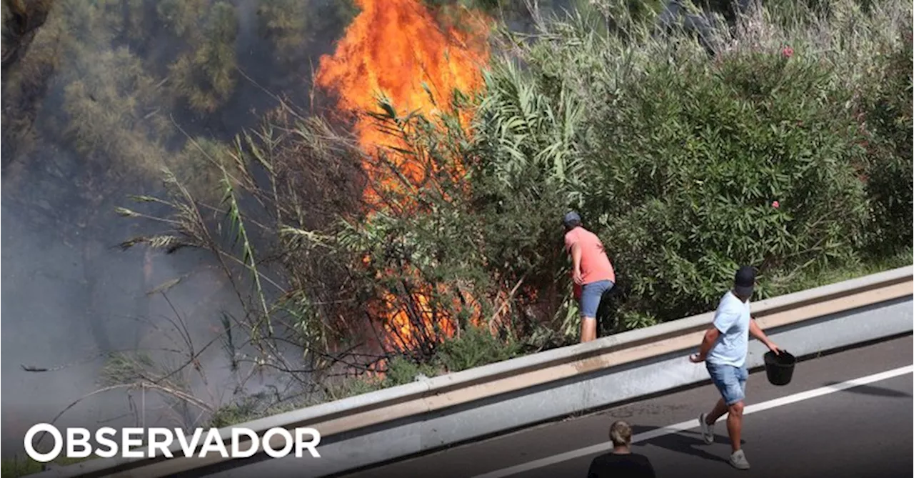 Incêndios: Porto Moniz e Calheta são as situações mais complexas