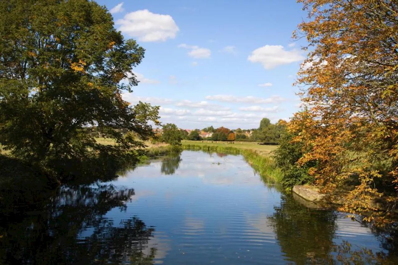 Human skull found in bin bags in river had 27 deep cuts