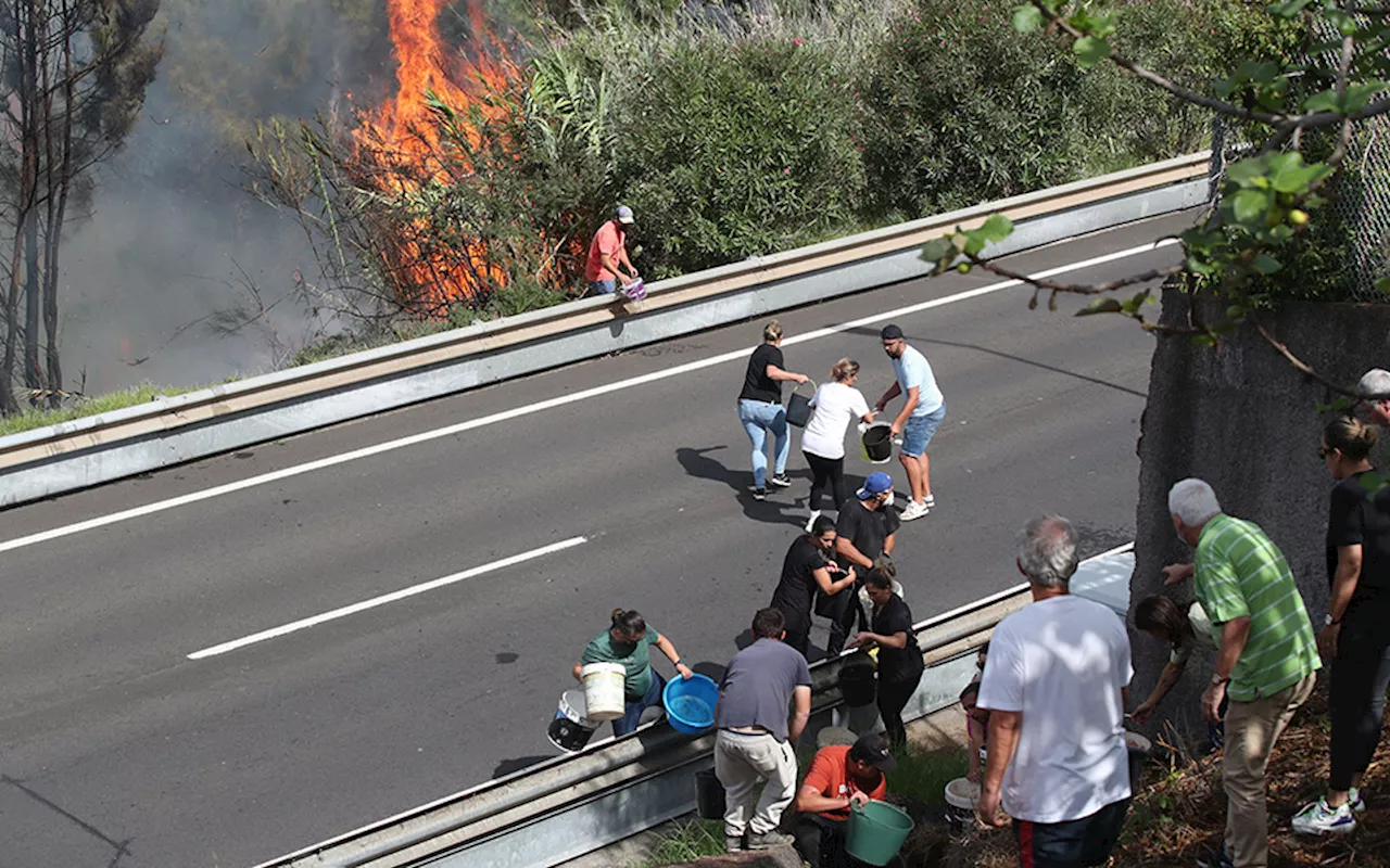 Incêndios na Calheta, Câmara de Lobos e Porto Moniz mobilizaram 127 operacionais