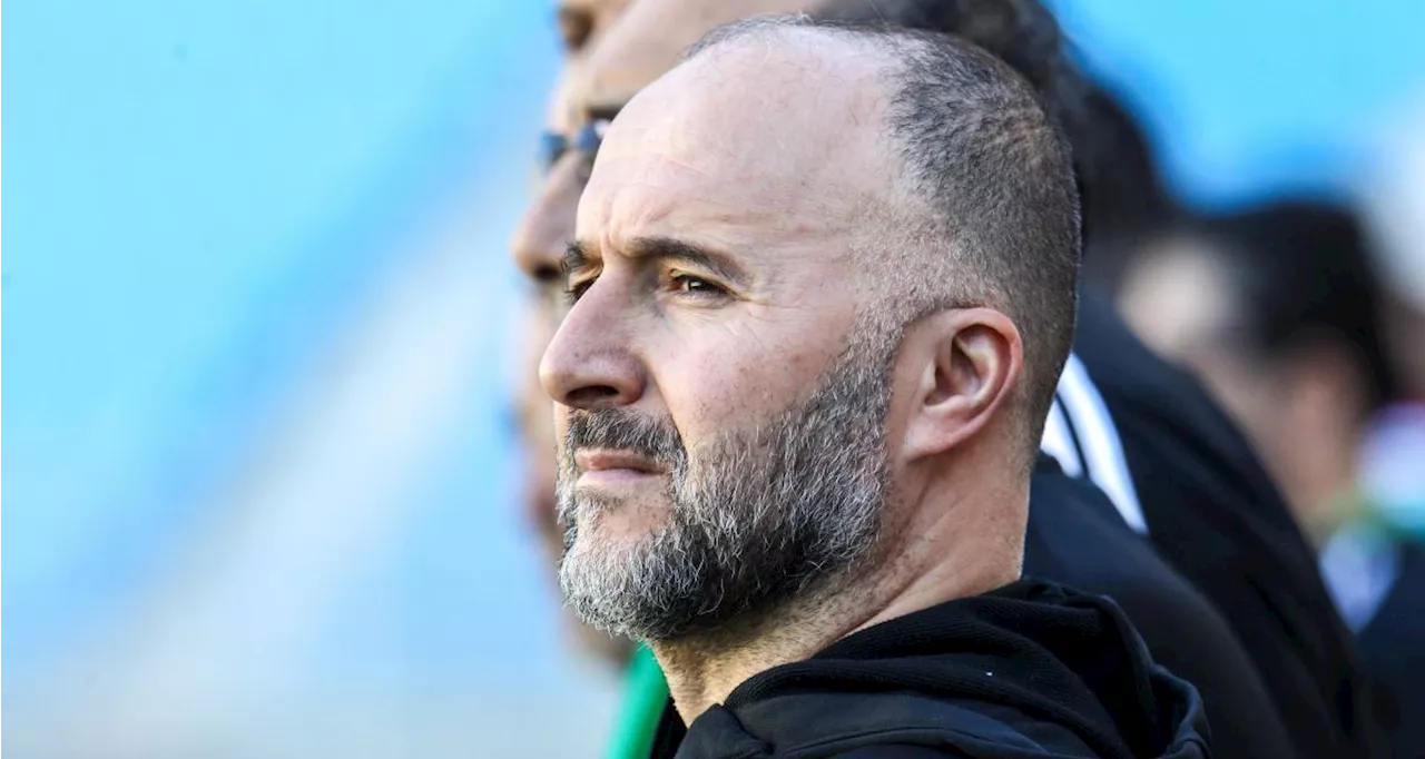 Algérie : Belmadi à l'OM après la CAN, la réponse du boss des Fennecs