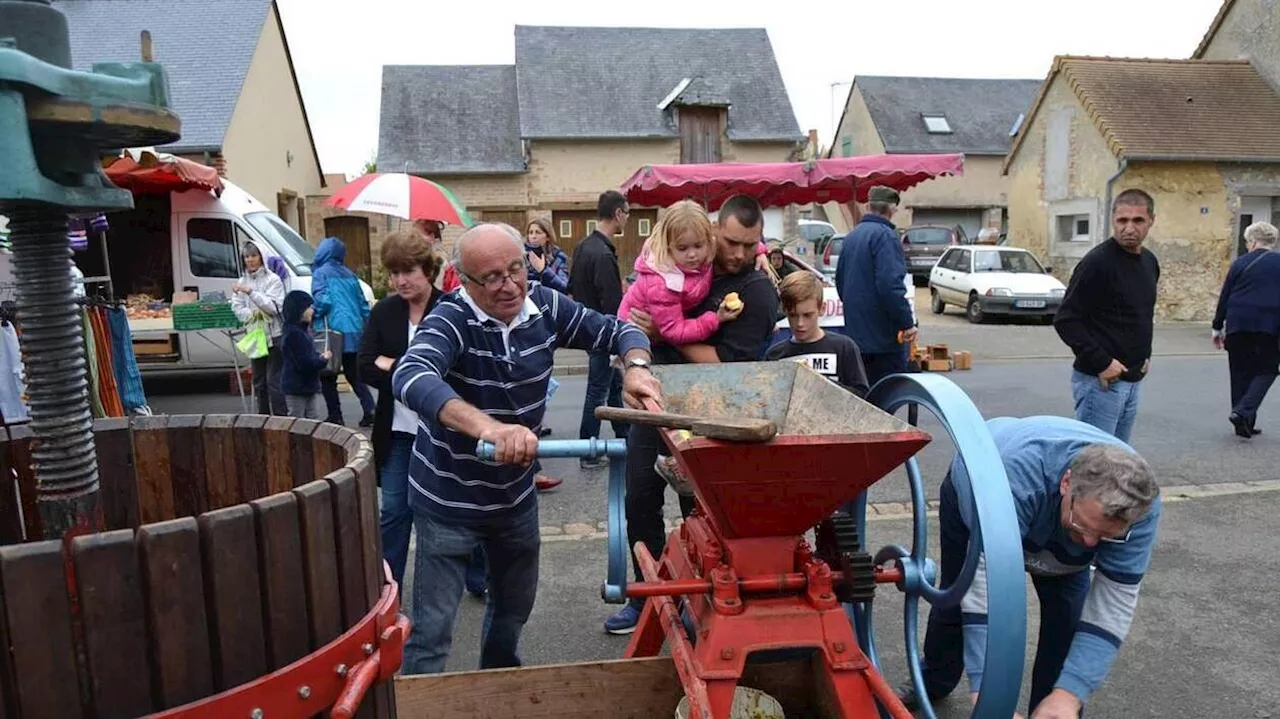 Dix idées de sortie en Sarthe pour ce dernier week-end avant les vacances de la Toussaint