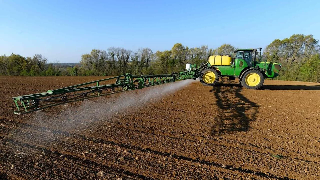 Glyphosate : la France s’abstient dans le vote sur la prolongation de son utilisation en Europe