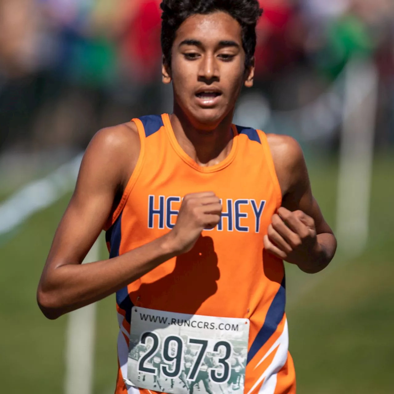 Here are 10 cross country runners to watch at Saturday’s Mid-Penn Conference championships