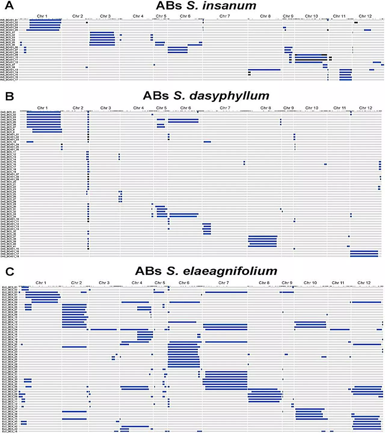 Exploring the genetic potential of eggplant's wild relatives for sustainable agriculture