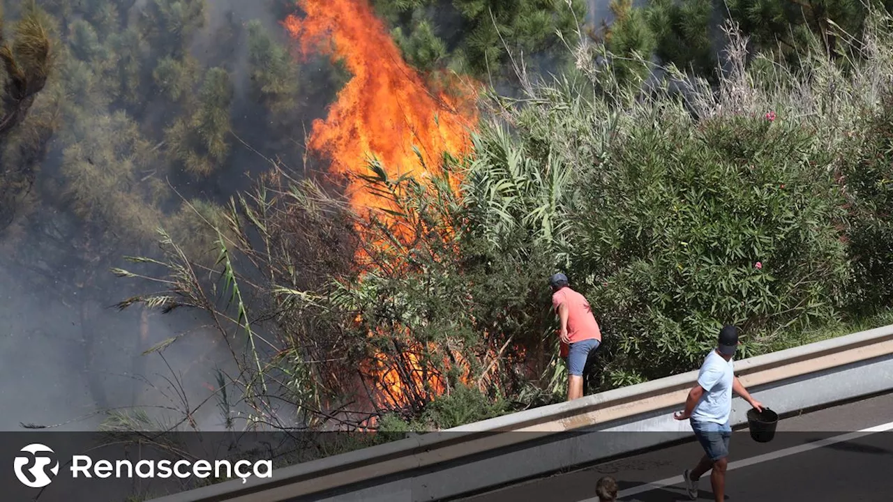 Fogo na Madeira com três focos de incêndio ativos