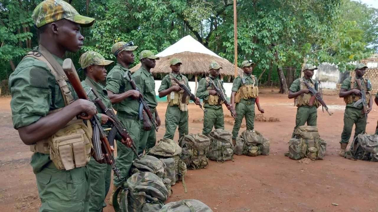 - Centrafrique: la lutte du parc national Manovo-Gounda Saint Floris contre le braconnage [2/3]