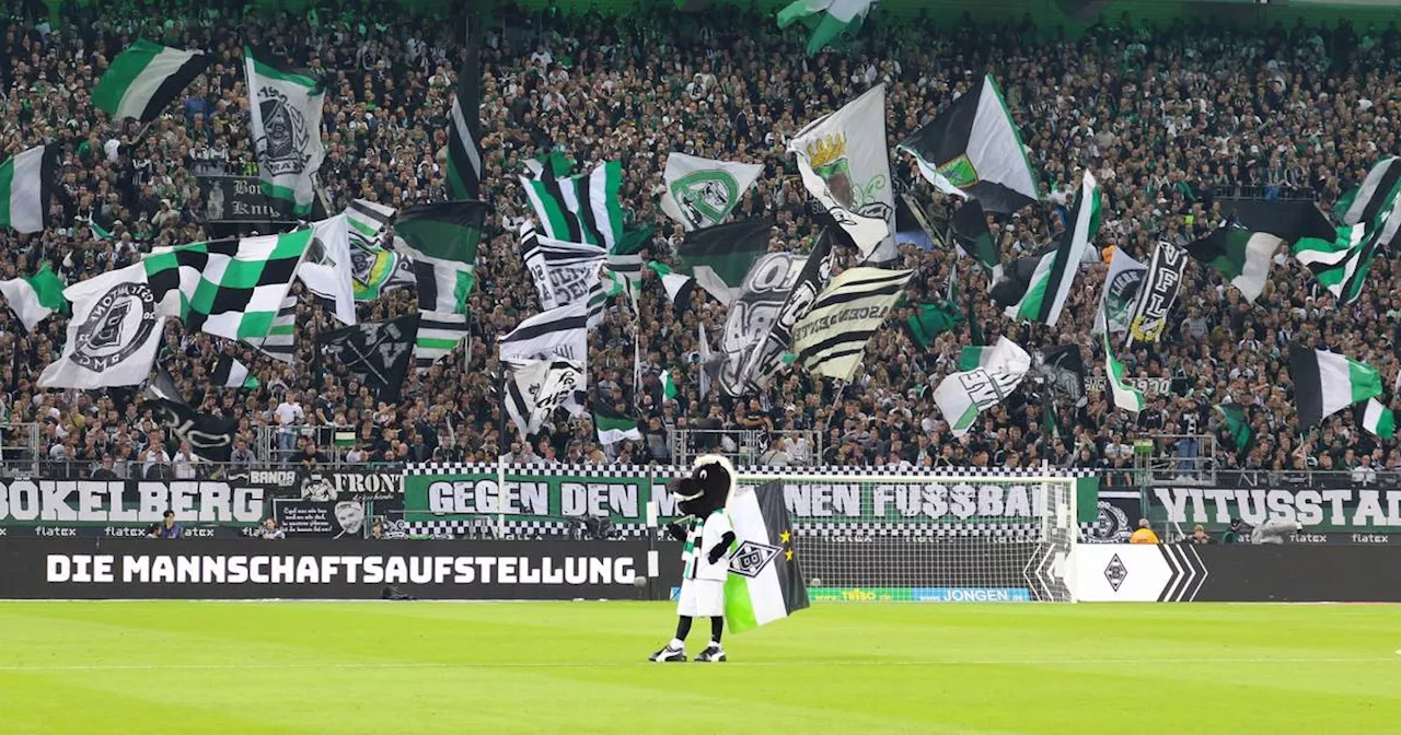 Borussia Mönchengladbach: Fan-Umfrage zum Saisonstart, Derby, DFB-Pokal