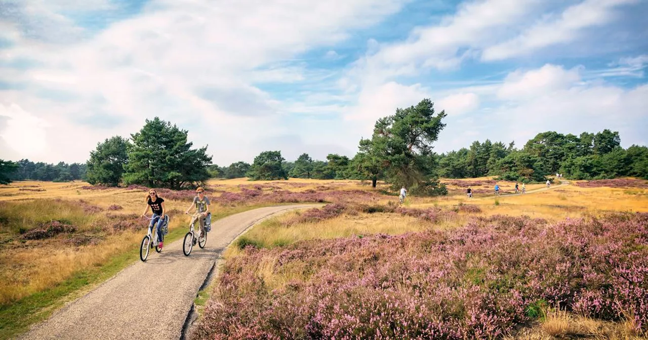 Holland im Herbst: Die schönsten Ausflugstipps