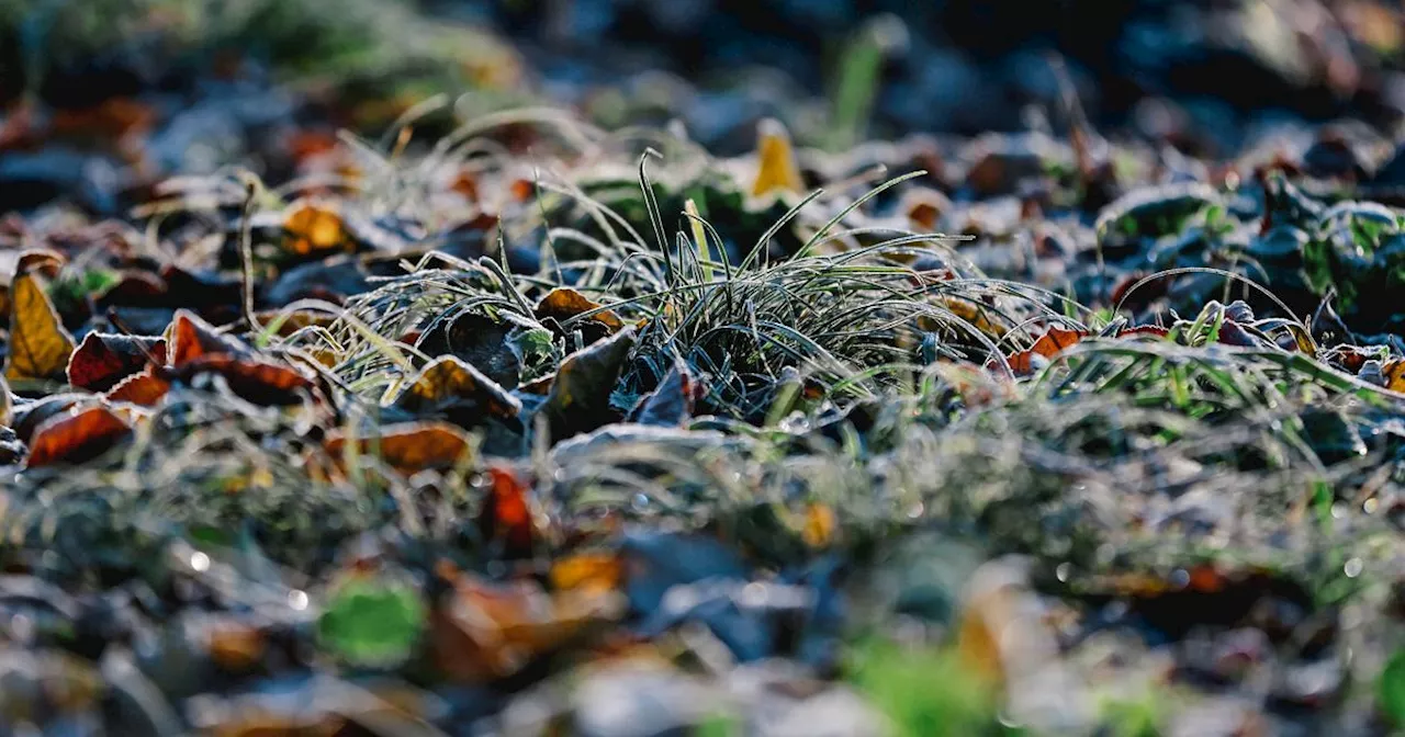 Met Éireann predict drop in temperature with risk of frost and hail this weekend