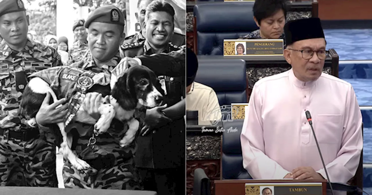 'Remember Blake' — Bomba's K9 Unit Gets RM5 Million Allocation In Honour Of Hero Dog