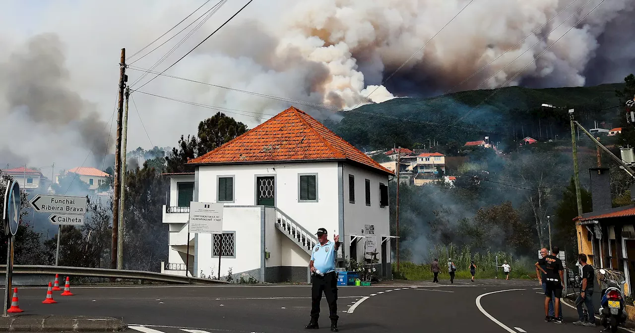 Incêndios: Governo da Madeira vai apoiar produtores afetados pelas chamas