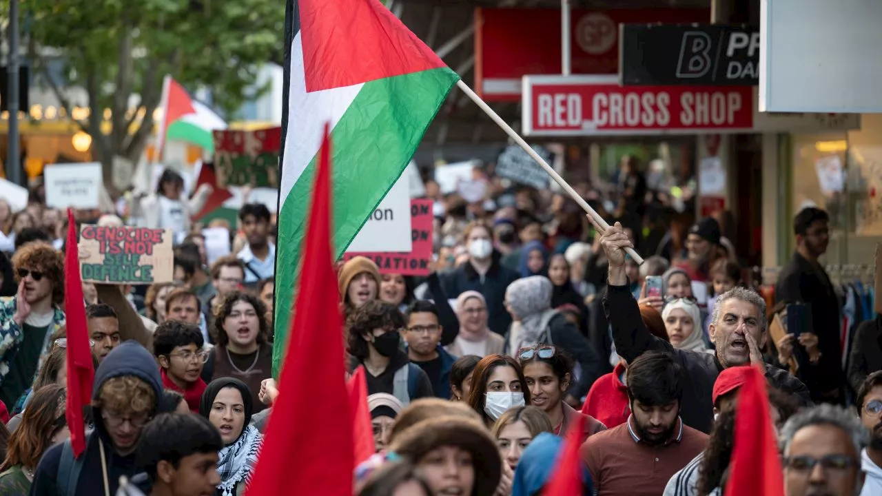 ‘End the siege on Gaza’: Crowds gather across capital cities for pro-Palestine rallies