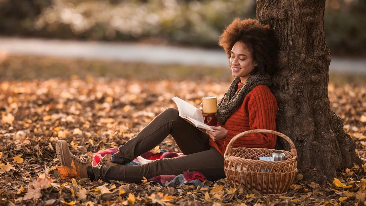 Buchtrends 2023: Diese Bücher eignen sich für den Herbst