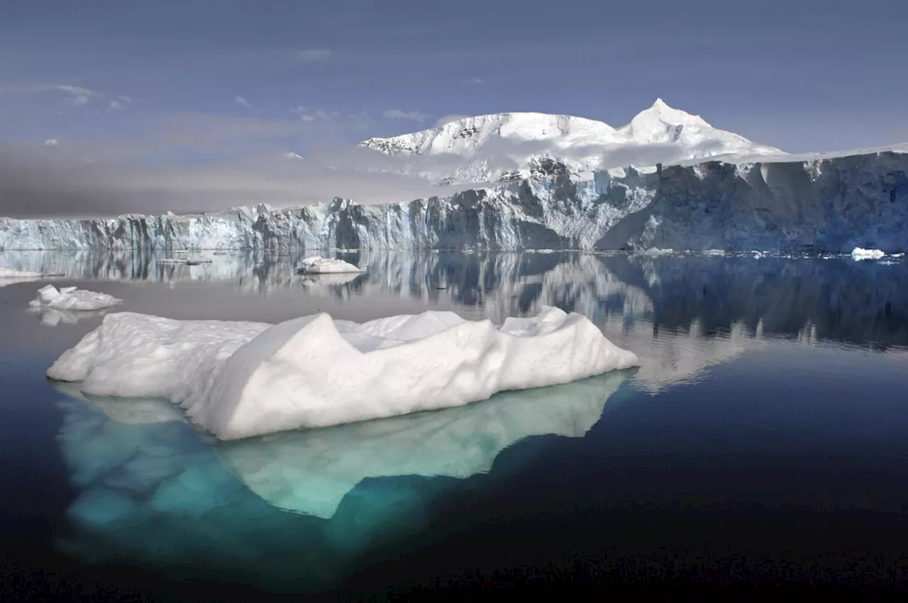 Antarctique : plus de 40 % des plateformes de glace ont rétréci en 25 ans, selon une étude