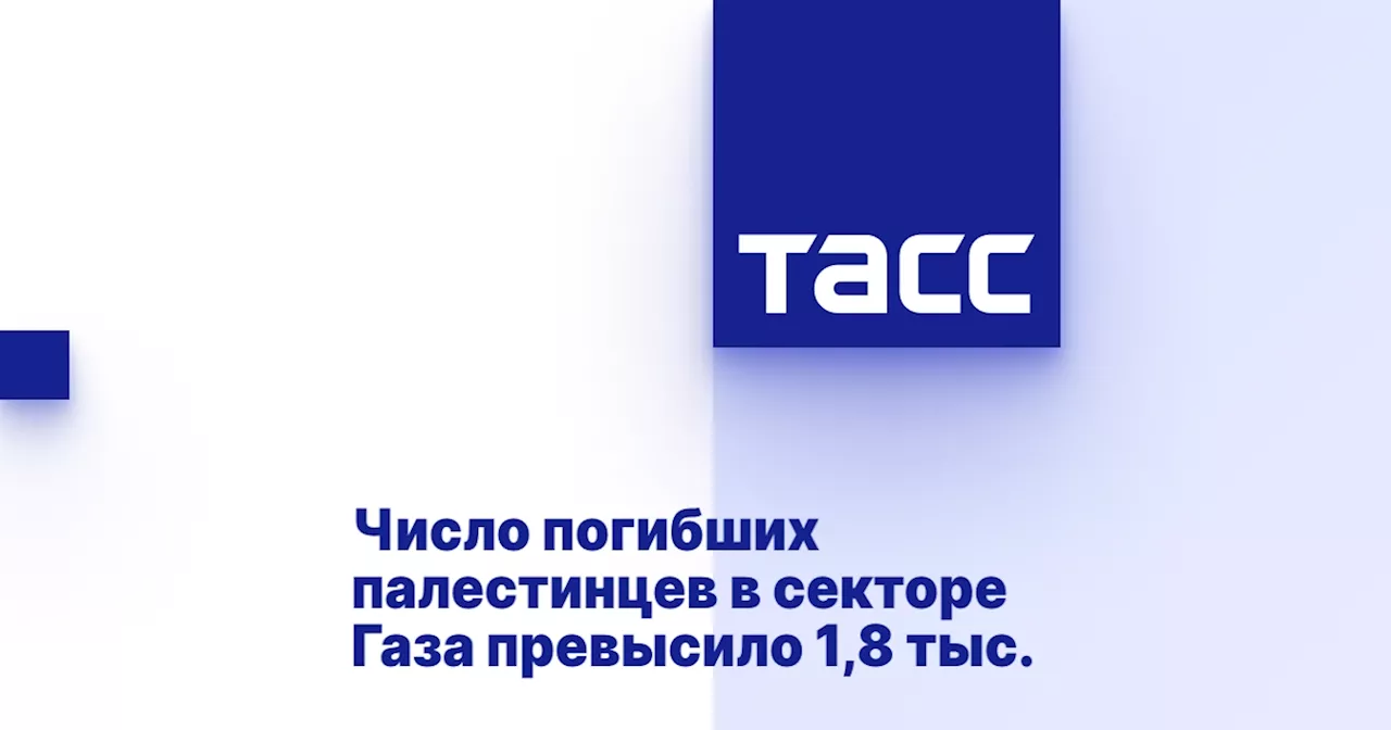 Число погибших палестинцев в секторе Газа превысило 1,8 тыс.