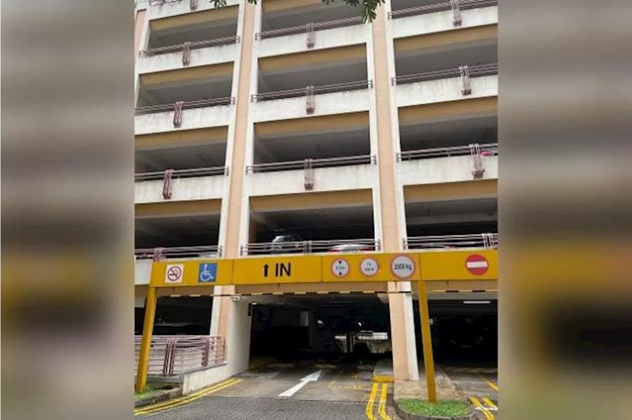 Deregistered cars found parked in multi-storey carpark in Tiong Bahru; HDB investigating