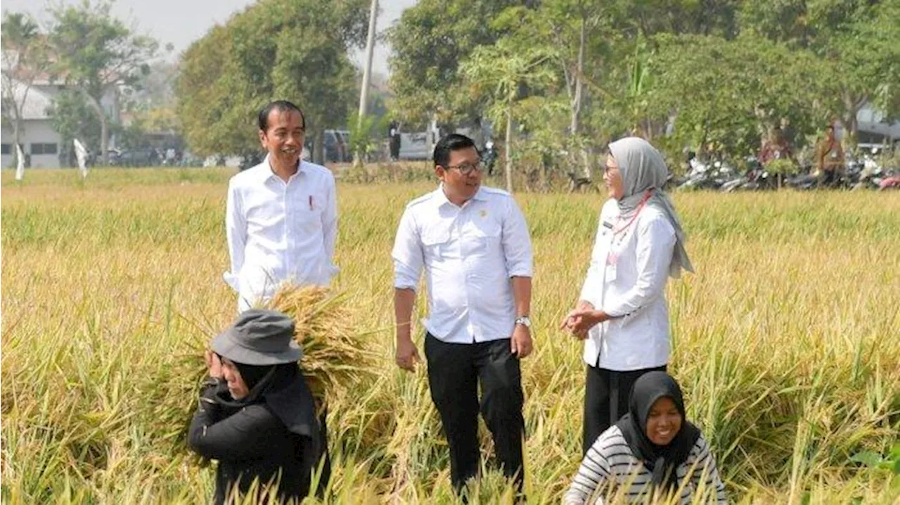 Gibran Terus Diusulkan Sebagai Cawapres Prabowo Subianto, Begini Tanggapan Presiden Jokowi