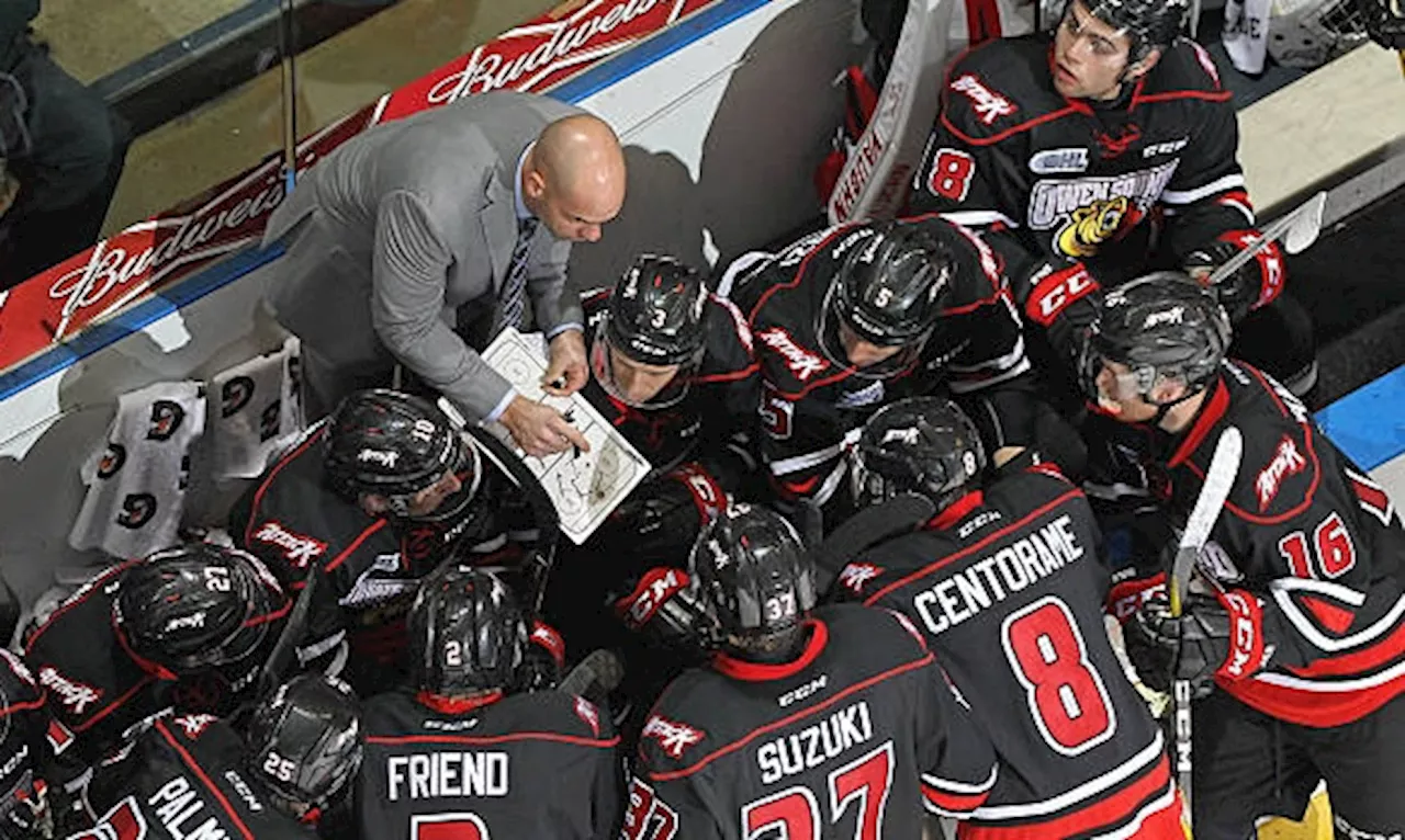 Sting coach Letang to serve as Canada's WJC head coach