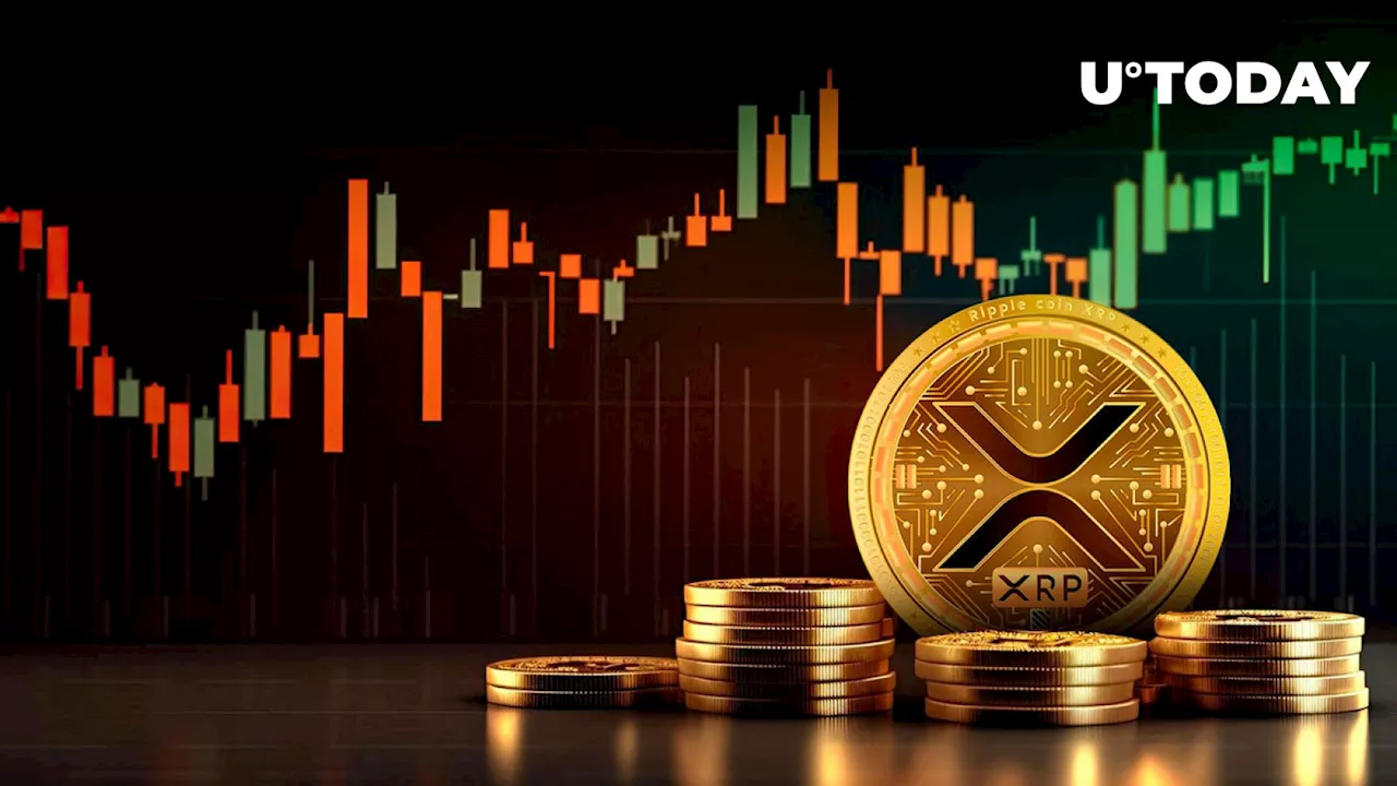 XRP Transaction Volume up 8% as Bullish Optimism Returns