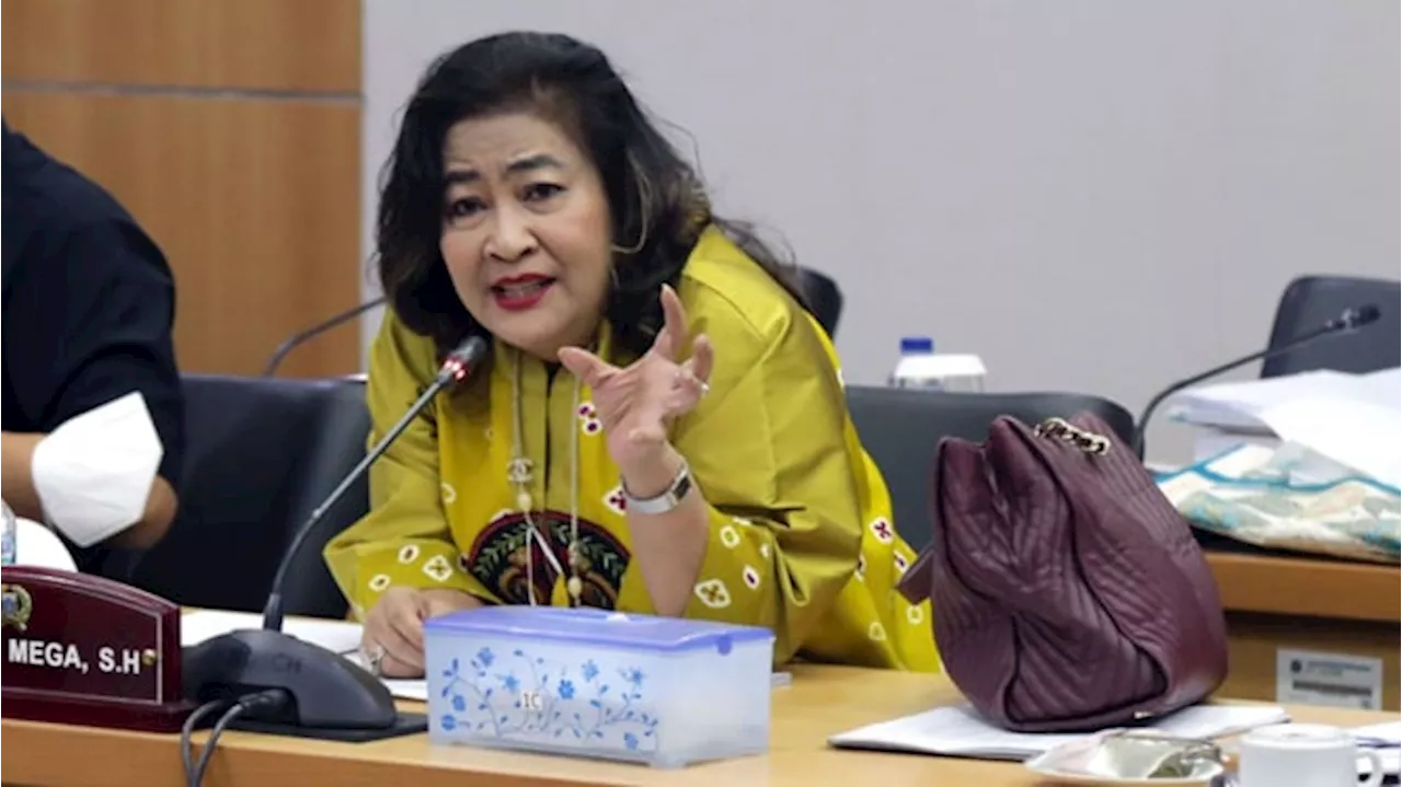 Cinta Mega Pindah ke PAN dan Maju Caleg DPRD DKI, Prasetyo Edi: Kita Harus Hargai