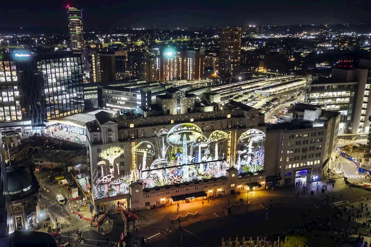 Leeds Light Night 2023: The best pictures from the first day of 'art in the dark' event