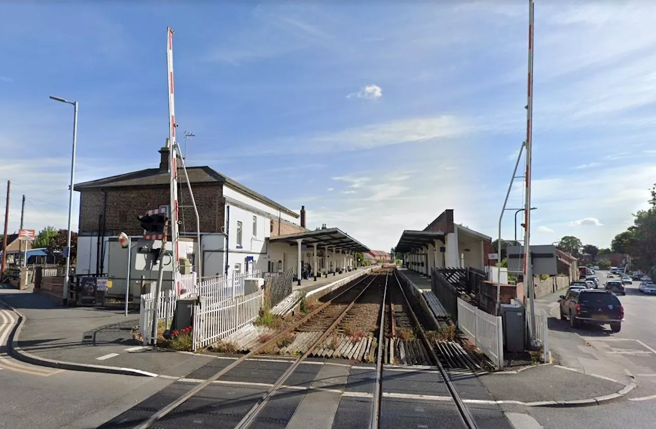 Northern to broadcast hawk calls over loudpspeaker at Yorkshire railway station to fight pigeon poo