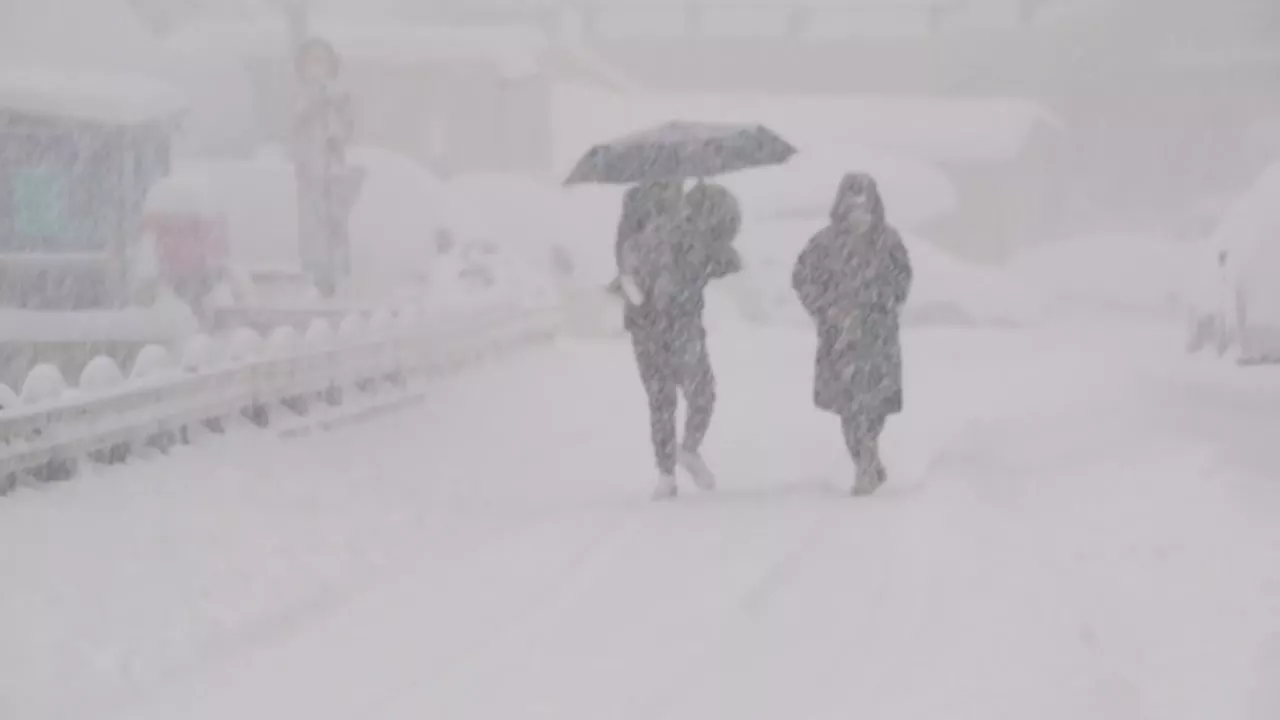 [날씨] 역사상 가장 뜨거웠던 여름...겨울은 이상 한파↑