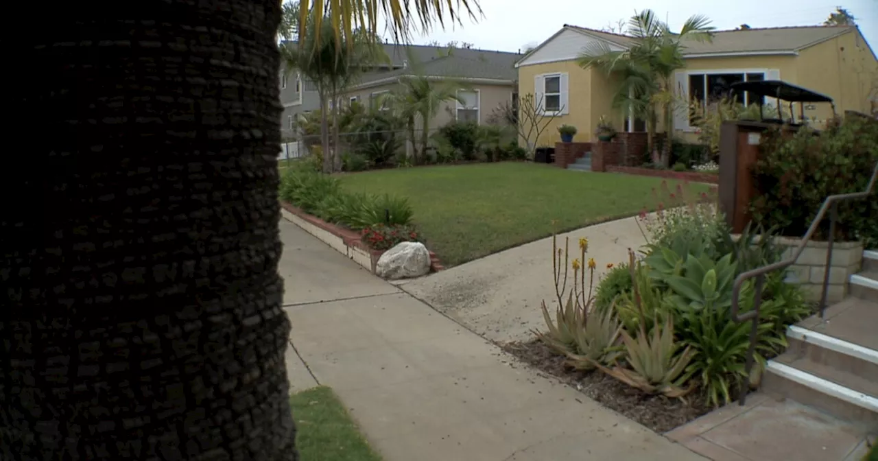 A single hair could help solve 1979 Pacific Beach murder of elderly man