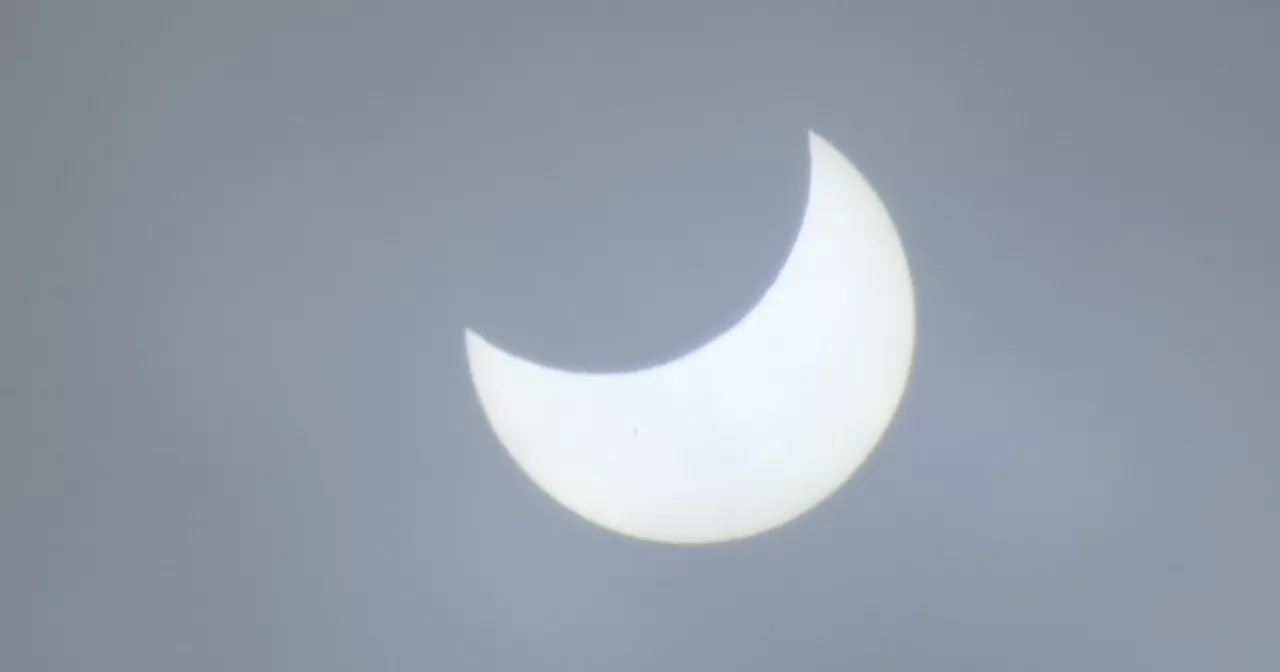 San Diegans watch the solar eclipse at Fleet Science Center