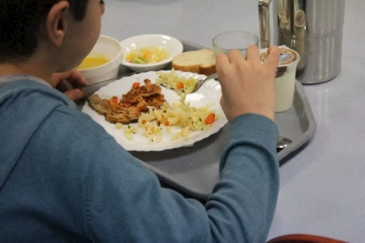 Repas sans porcs dans les cantines : une ville du Gard déboutée par le Conseil d'État