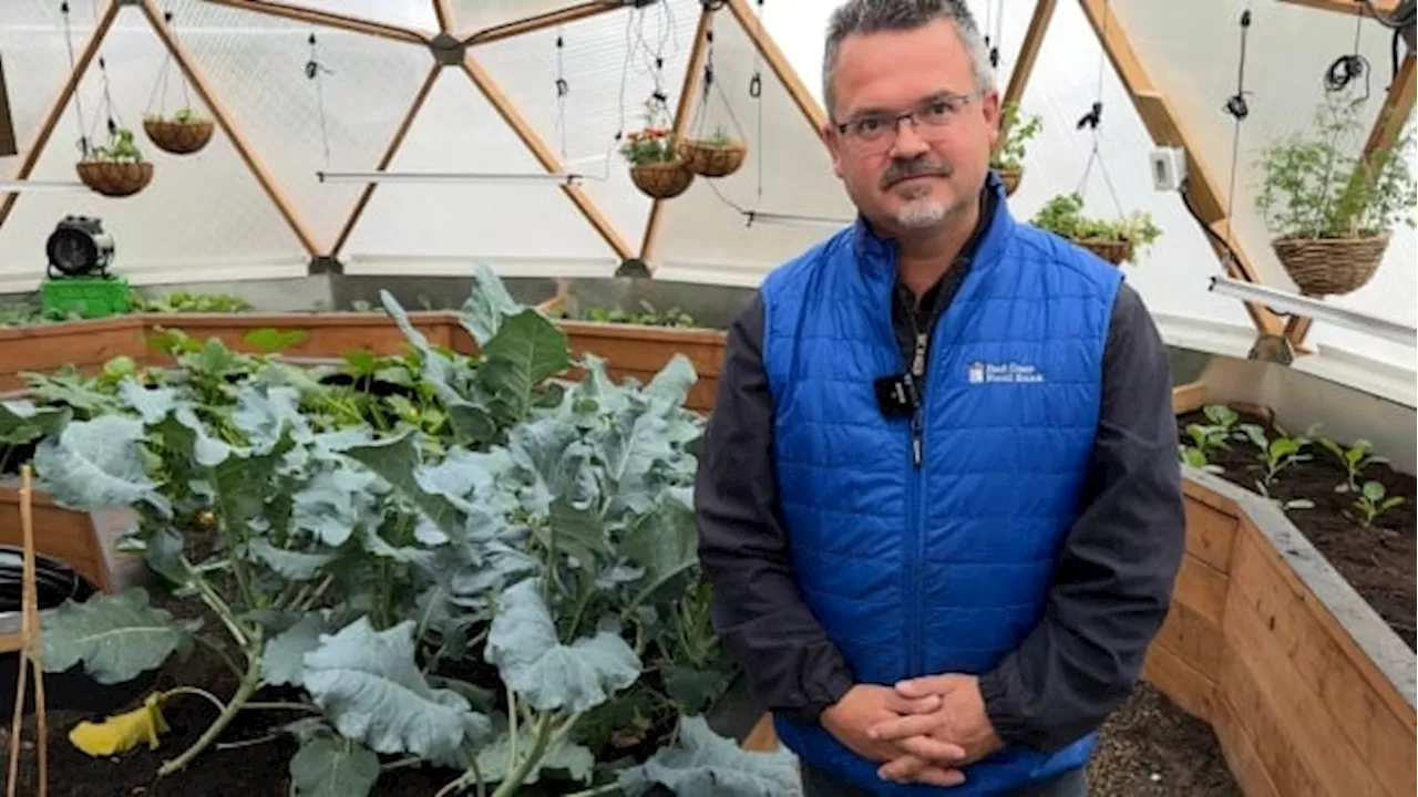 Red Deer non-profit feeds families and communities in need through year-round greenhouses