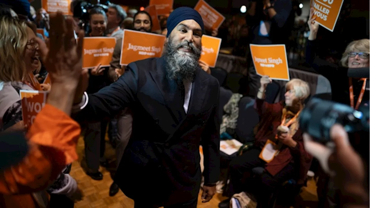 NDP delegates unanimously support pharmacare redline in their deal with Liberals; Singh survives leadership review