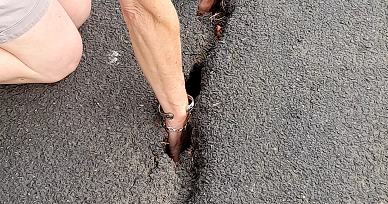 Family slam road workers over response to crack in road that killed cyclist