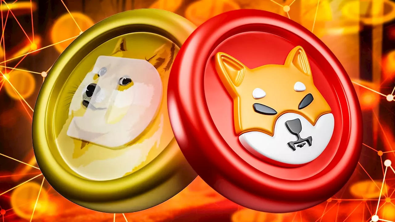 Dogecoin Kurs Prognose: Top-Analyst benennt kritisches Kurslevel für den Bull-Run