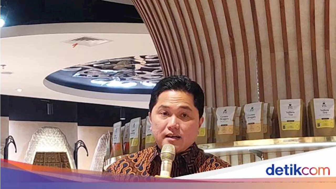 Singgung JK, Erick Thohir Beri Bukti Investor Masuk RI Nggak Cuma China