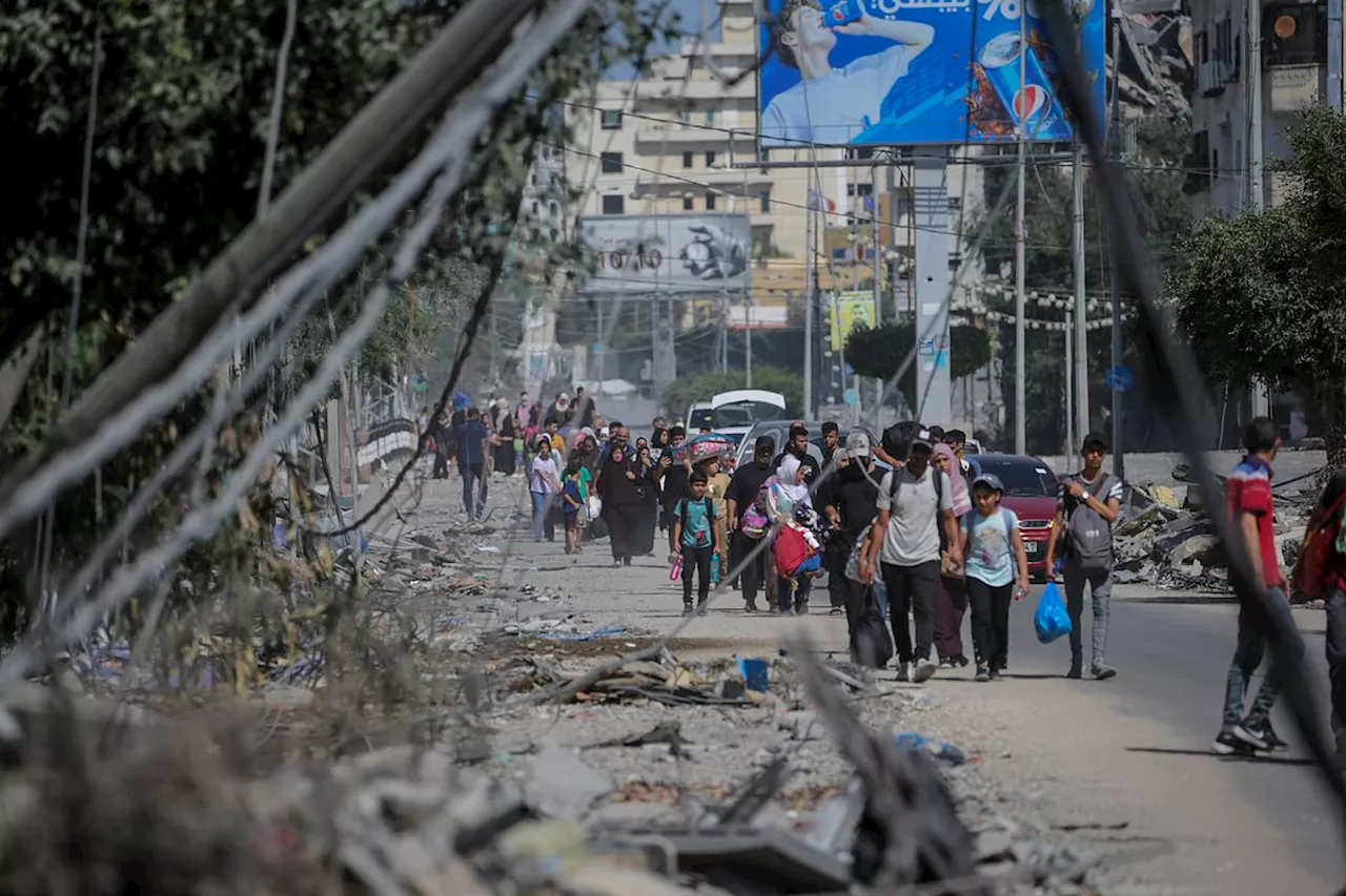 Los trabajadores del Ayuntamiento de Gaza envían mensajes de despedida por WhatsApp a los de Barcelona