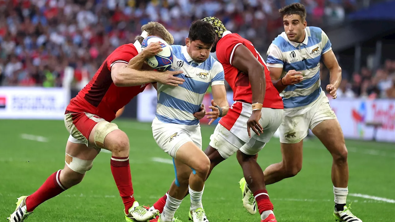 Rugby-WM 2023: Argentinien zieht Ticket für Halbfinale - Kracher-Duell gegen Neuseeland oder Irland