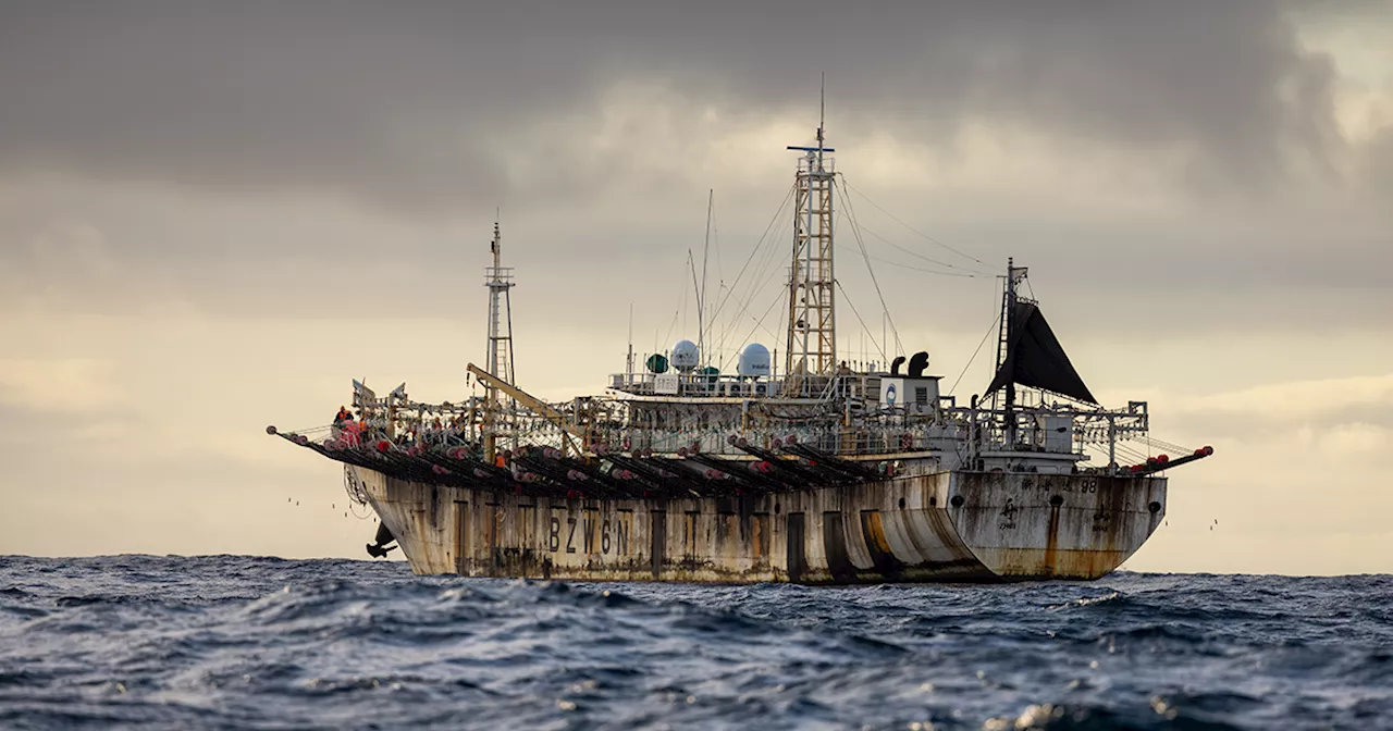 Lavoro forzato, abusi e pesca illegale: così la flotta cinese rifornisce anche le nostre tavole