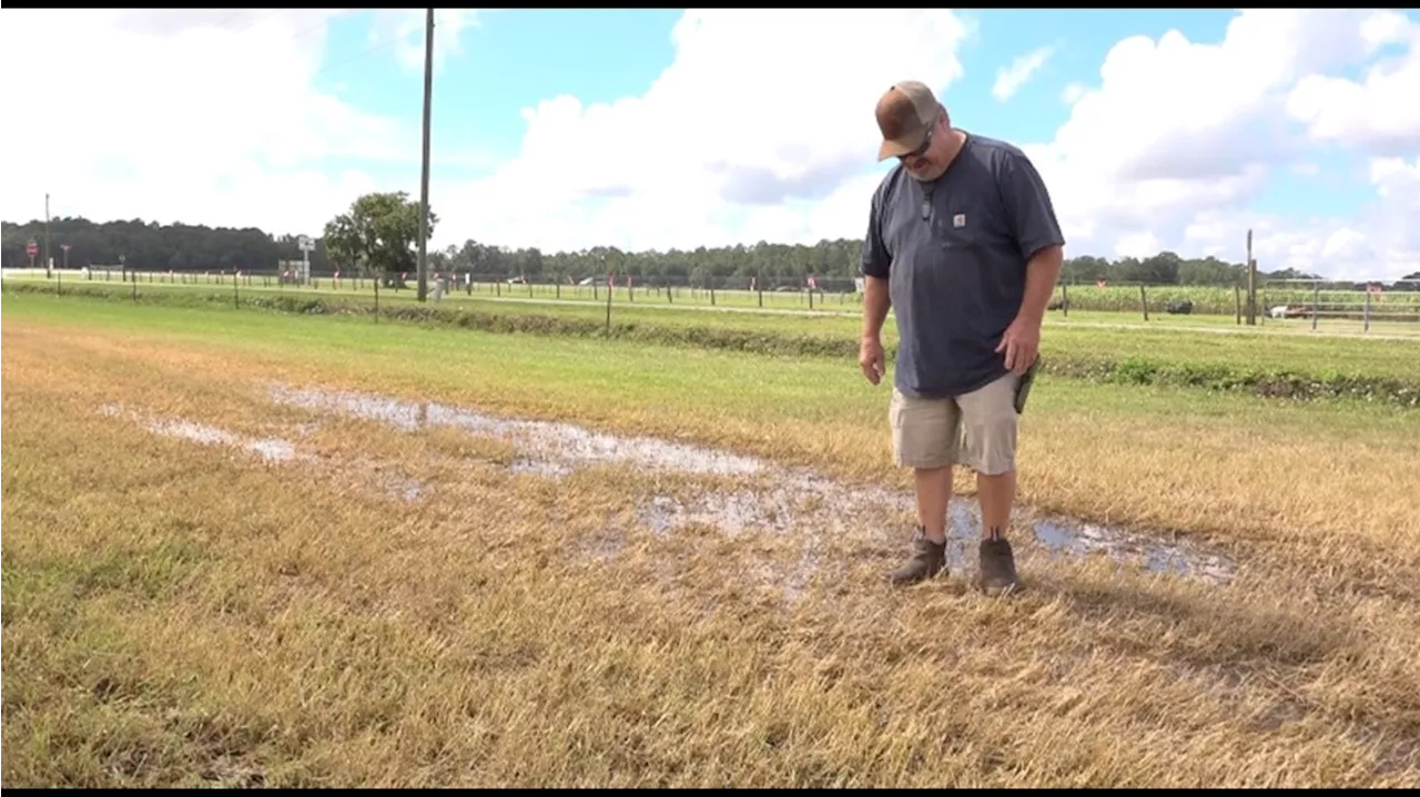 Heavy rains prompt Reba corn maze to close Friday night in St. Johns County