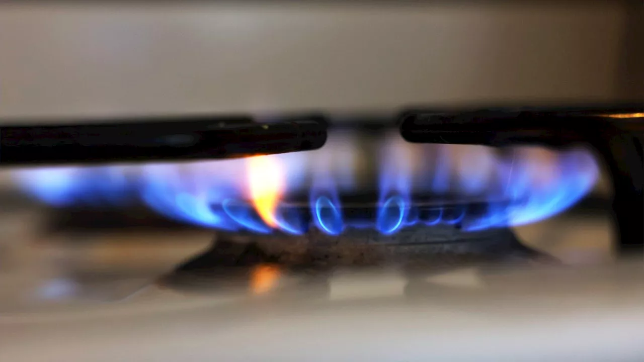 New York gas stove ban heats up as gas and construction groups file federal lawsuit